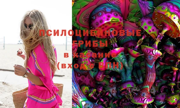 не бодяженный Гусь-Хрустальный